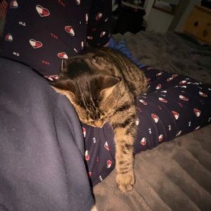 Meet your Posher, Amanda